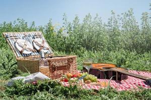 Closeup of picnic basket with drinks and food on the grass photo