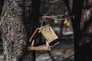 wooden bird feeder photo