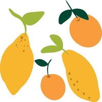 Lemons and Oranges Citrus Clip Art vector