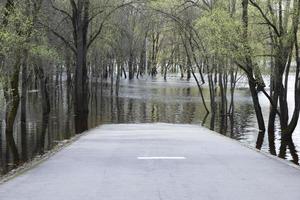 inundación de primavera en un río en europa como resultado del deshielo estacional y el aumento de las aguas subterráneas, inundación de una carretera. foto