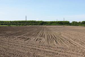 Sowing time, plowed land, rows of plowed land prepared for sowing. photo