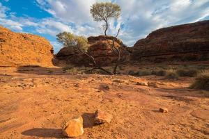 paisaje seco en el cañón de los reyes del estado del territorio del norte, el centro rojo del área del interior de australia. foto