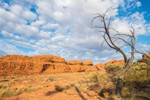 The rugged landscape of Kings canyon in Northern Territory state of Australia. photo