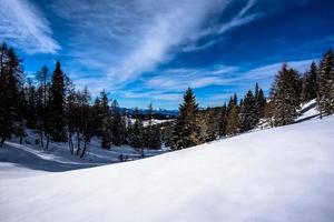 2021 12 11 Cima Larici snow and pines 7 photo