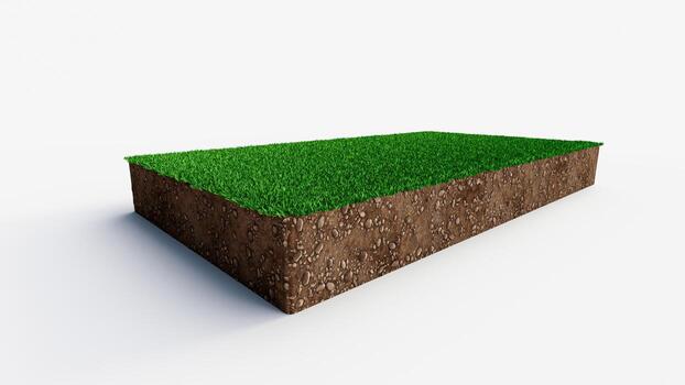 parche de campo de hierba con suelo saludable en forma rectangular ilustración 3d foto