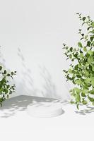 3D rendering Mock up summer podium for product design, minimal display. shadow overlay. photo