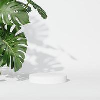 3D rendering Mock up summer podium for product design, minimal display. shadow overlay. photo
