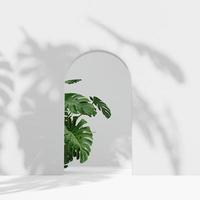 3D rendering Mock up summer podium for product design, minimal display. shadow overlay. photo