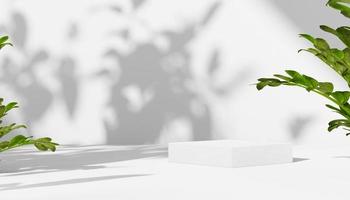 3D rendering Mock up summer podium for product design, minimal display. shadow overlay. photo