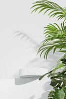 3D rendering Mock up summer podium for product design, minimal display. shadow overlay. photo