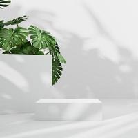 3D rendering Mock up summer podium for product design, minimal display. shadow overlay. photo