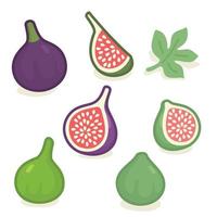 purple and green figs kawaii doodle flat vector illustration