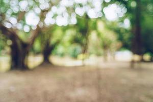 Green toned blurred nature bokeh public park with several trees. photo