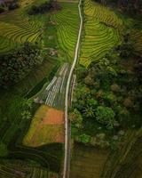 panoramic view of green rice fields with roads in a small area with aerial photos of Bengkulu Utara, Indonesia