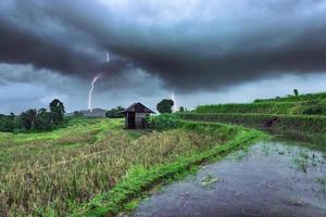 la vista del destello de la luz oscura de la tarde sobre los campos de arroz de kemumu foto