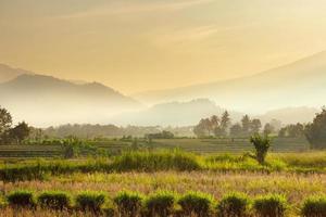 paisaje natural con montañas por la mañana y sol al amanecer en indonesia foto