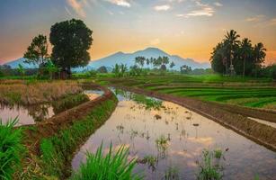 reflection of the morning scenery in the blue rice fields and mountains in indonesia, asia photo