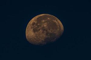 photo of the moon on a sunny morning