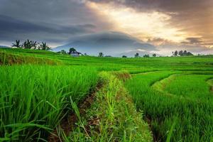 la belleza natural del campo y los campos de arroz verde y las pequeñas cabañas al pie de la montaña en el amanecer de la mañana