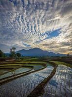 amanecer matutino en los campos de arroz de bengkulu, asia del norte, indonesia, la belleza de los colores y la luz natural del cielo matutino foto