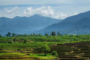 view of rice terraces in the mountain range of Sumatra, Indonesia photo