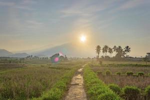 morning view in small village with mountain at sunrise in summer in north bengkulu, indonesia photo