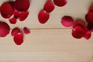 Petals of rose isolated on wooden background. Happy valentines day concept photo