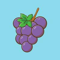 Fresh grape fruit cartoon icon illustration. Fruit concept. Exclusive design. vector