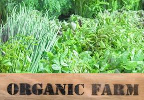 Fresh organic produce in wooden box photo