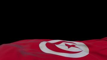 Tunisien tygflagga viftande på vindslingan. tunisiska broderi stiched tyg banner vajande på vinden. halvfylld svart bakgrund. plats för text. 20 sekunders loop. 4k video