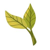 Branch with leaves. Buds and green leaves. Vector cartoon illustration isolated on white background