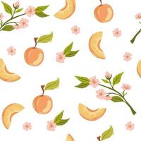 Apricot fruit seamless pattern. Rise garden plant whole and half piece with stem and kernel. Juicy natural healthy fruit. Perfect for wallpaper, fabric, interior decor. Vector cartoon illustration