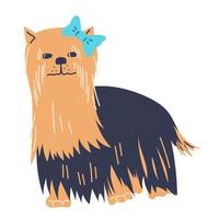 yorkshire terrier perro encantador personaje de dibujos animados, ilustración de vector plano aislado sobre fondo blanco. mascota domestica perro o cachorro divertido personaje dibujado a mano.