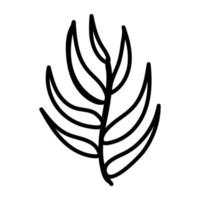 Hand drawn editable icon of a leaves stem vector