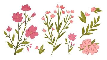 Pink flower and branch set. Collection of cute flower branches and leaves. Flat vector illustration