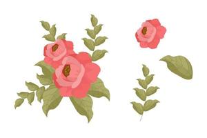 A variety of colorful arrangements of beautiful leaves and flowers vector