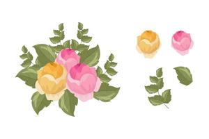 A variety of colorful arrangements of beautiful leaves and flowers vector