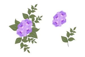 una variedad de coloridos arreglos de hermosas hojas y flores vector