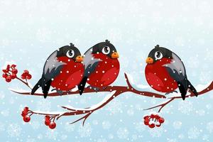 A group of cartoon bullfinches on a rowan branch. Red birds on a branch in winter with snow. vector