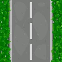 Seamless pattern of asphalt road with grass. Textured road paths along grass covered with grass. vector