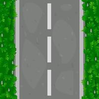 Seamless pattern of asphalt road with grass. Textured road paths along grass covered with grass. vector