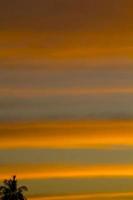 The sky is a horizontal line of yellow-orange and colorful colors in the beautiful evening in the midst of nature which is peaceful, warm and romantic in the countryside and is extremely beautiful. photo