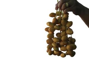 Ripe yellow dates are planted organically, sweet and delicious and fresh in a woven basket on a white background with the hands of a woman holding them-on a white background. photo