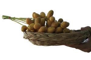 los dátiles amarillos maduros se plantan orgánicamente, dulces, deliciosos y frescos en una cesta tejida sobre un fondo blanco con las manos de una mujer sosteniéndolos sobre un fondo blanco. foto