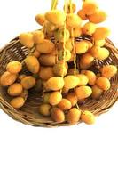 Ripe yellow dates are organically grown, sweet and delicious, and fresh in woven baskets - on a white background. photo