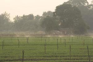 Springer for watering morning glory in the farmer's section, rotating and distributing water to keep vegetables wet and humid, and growing plants from the morning sprinkler tides. photo