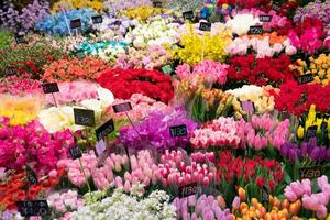 a lot of Flowers in flower shop at Kuromon Ichiba Market fish market, Osaka, Japan. photo