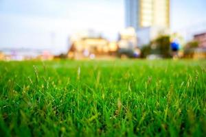 grass in the football field photo