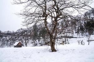 los pueblos de shirakawago y gokayama son uno de los sitios del patrimonio mundial de la unesco de japón. casa de campo en el pueblo y montaña detras. foto