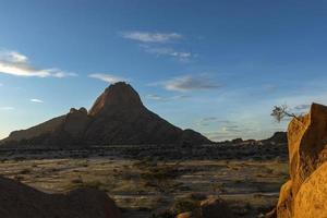 pequeño árbol en roca en spitzkoppe foto